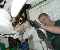 naprawa tylnej belki u mechanika