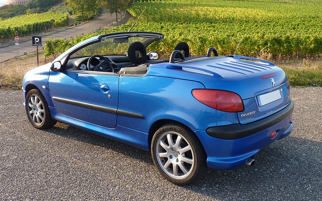 peugeot samochod droga